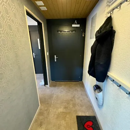 Ferienwohnung Brunni-Lodge Am Grossen Mythen Alpthal Exterior photo
