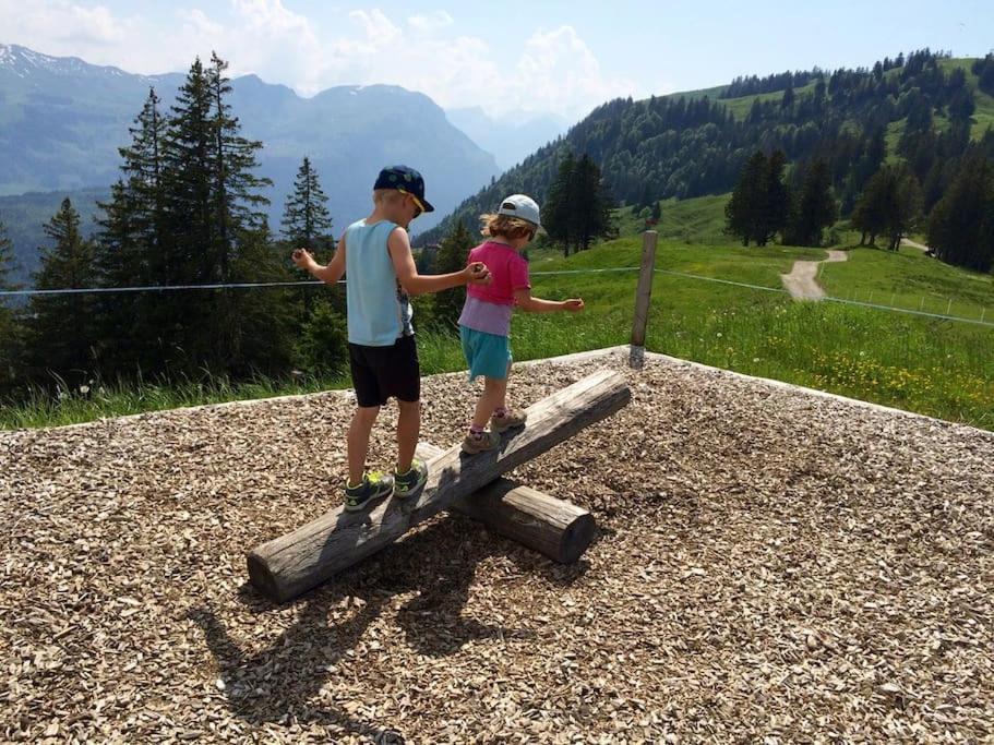 Brunni-lodge Am Grossen Mythen Apartment